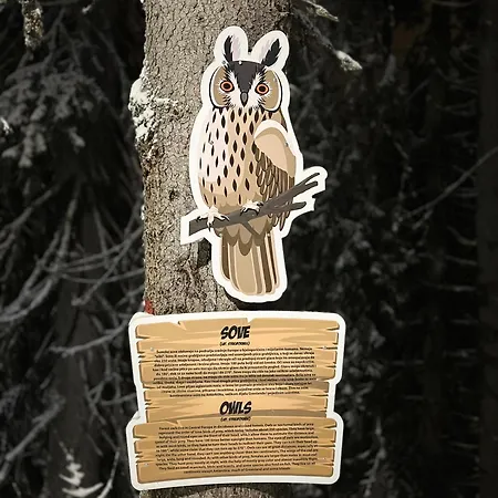 Beggy Apartment Jahorina